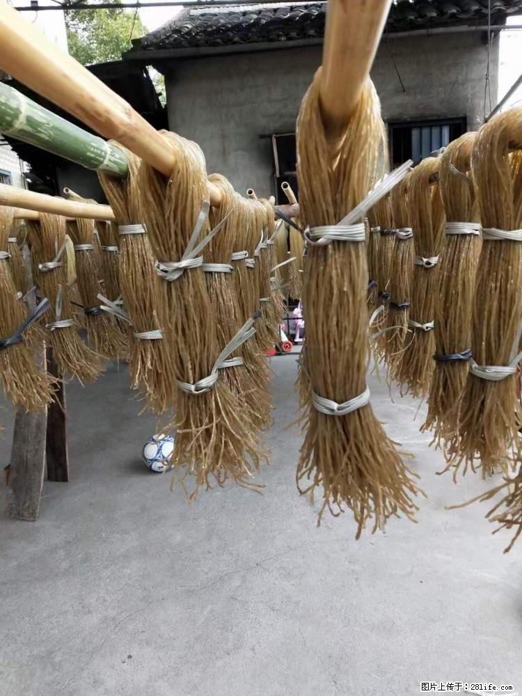 【灌阳正宗红薯粉】美女家里自己做的，干净卫生，假一赔十，价格合理，抢购电话：13737312895 - 美食天地 - 石家庄生活社区 - 石家庄28生活网 sjz.28life.net