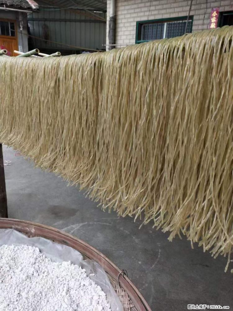 【灌阳正宗红薯粉】美女家里自己做的，干净卫生，假一赔十，价格合理，抢购电话：13737312895 - 美食天地 - 石家庄生活社区 - 石家庄28生活网 sjz.28life.net