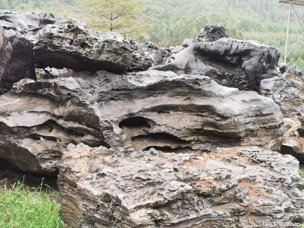 风景石、假山石大量有货，有需要的欢迎联系 - 新手上路 - 石家庄生活社区 - 石家庄28生活网 sjz.28life.net