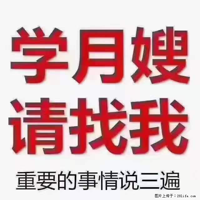 为什么要学习月嫂，育婴师？ - 新手上路 - 石家庄生活社区 - 石家庄28生活网 sjz.28life.net