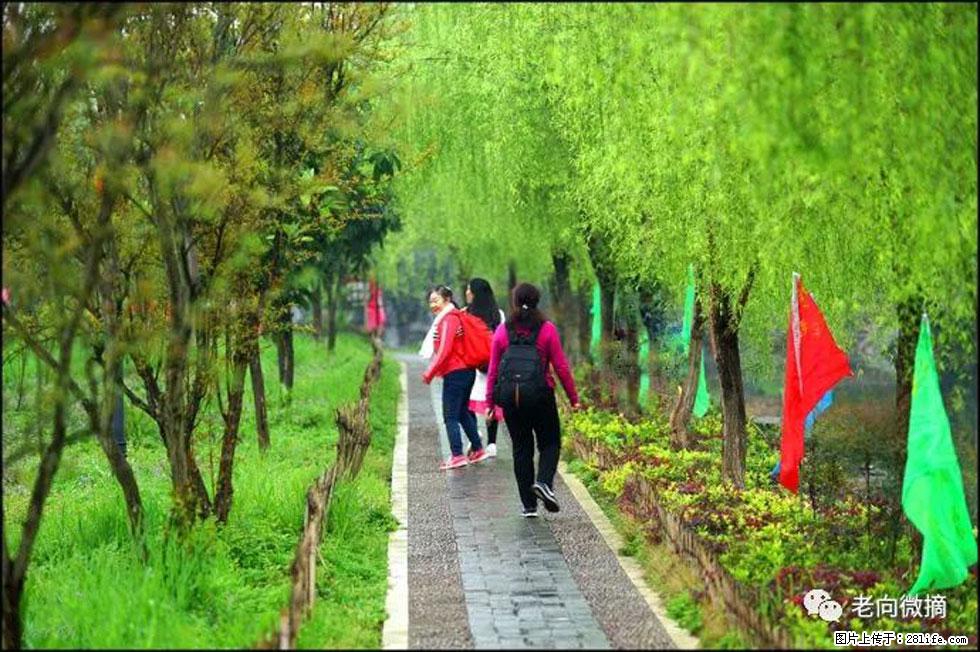 【春天，广西桂林灌阳县向您发出邀请！】江口老街又逢春 - 游山玩水 - 石家庄生活社区 - 石家庄28生活网 sjz.28life.net