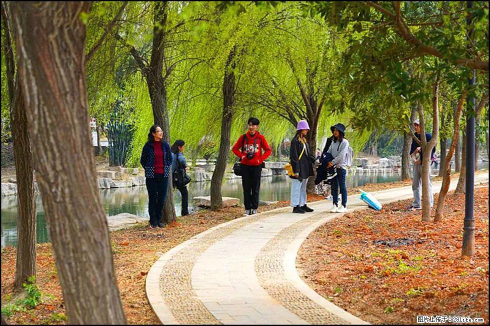 【春天，广西桂林灌阳县向您发出邀请！】江口老街又逢春 - 游山玩水 - 石家庄生活社区 - 石家庄28生活网 sjz.28life.net