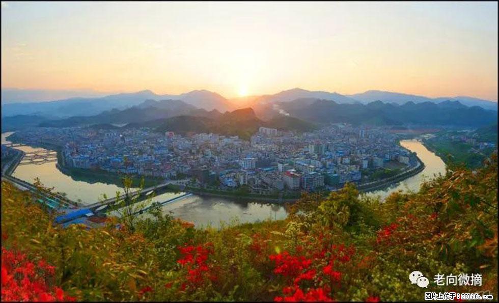【春天，广西桂林灌阳县向您发出邀请！】登麒麟山，相约映山红 - 游山玩水 - 石家庄生活社区 - 石家庄28生活网 sjz.28life.net