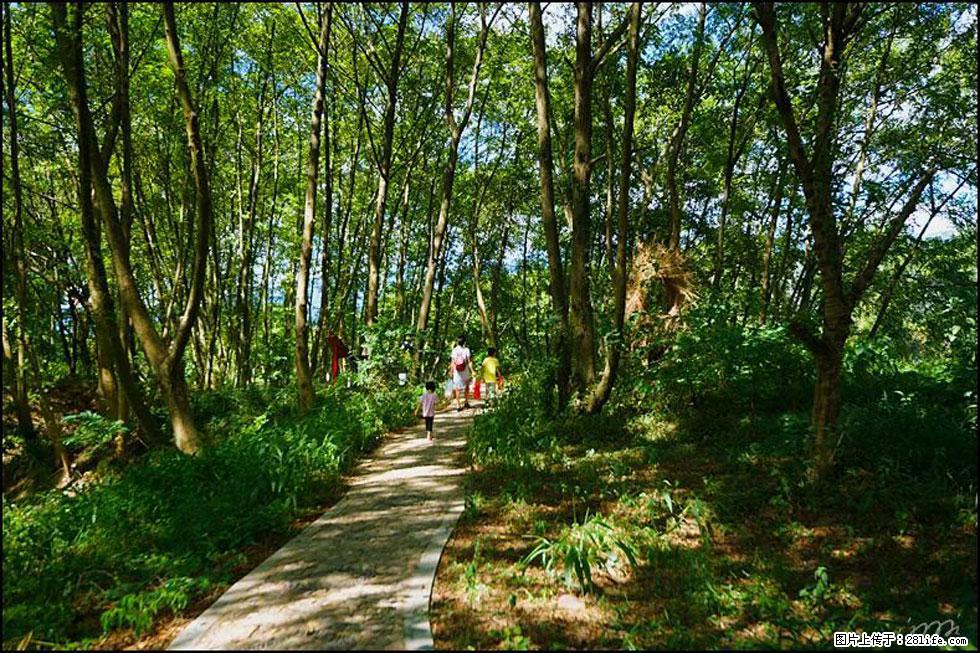 【春天，广西桂林灌阳县向您发出邀请！】熊家寨湿地公园 - 游山玩水 - 石家庄生活社区 - 石家庄28生活网 sjz.28life.net