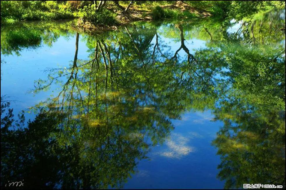 【春天，广西桂林灌阳县向您发出邀请！】熊家寨湿地公园 - 游山玩水 - 石家庄生活社区 - 石家庄28生活网 sjz.28life.net