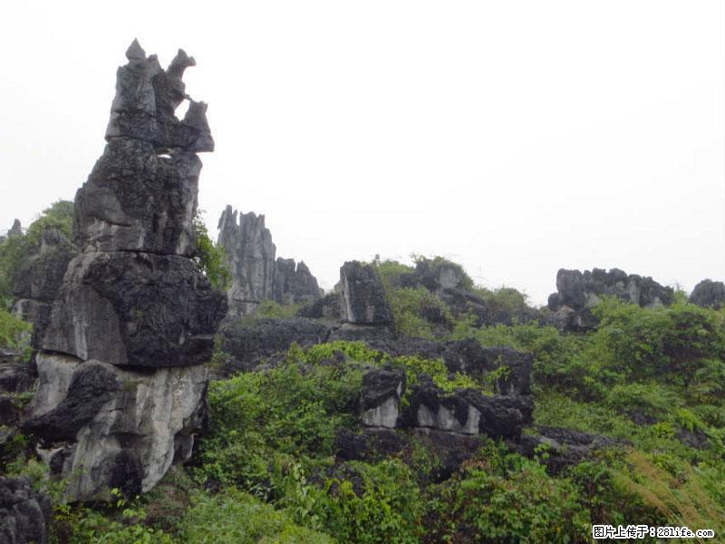 桂林旅游名城景点：灌阳文市石林 - 游山玩水 - 石家庄生活社区 - 石家庄28生活网 sjz.28life.net