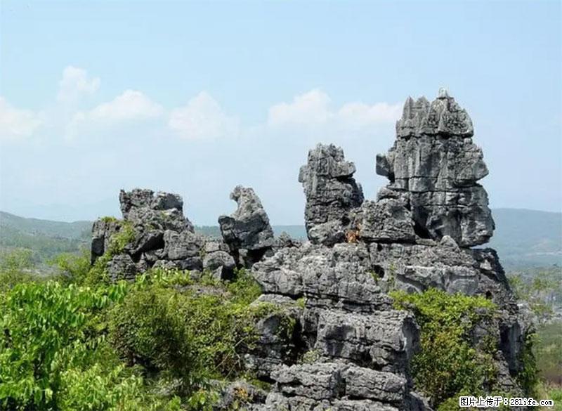 桂林旅游名城景点：灌阳文市石林 - 游山玩水 - 石家庄生活社区 - 石家庄28生活网 sjz.28life.net