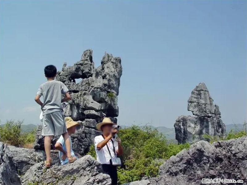 桂林旅游名城景点：灌阳文市石林 - 游山玩水 - 石家庄生活社区 - 石家庄28生活网 sjz.28life.net