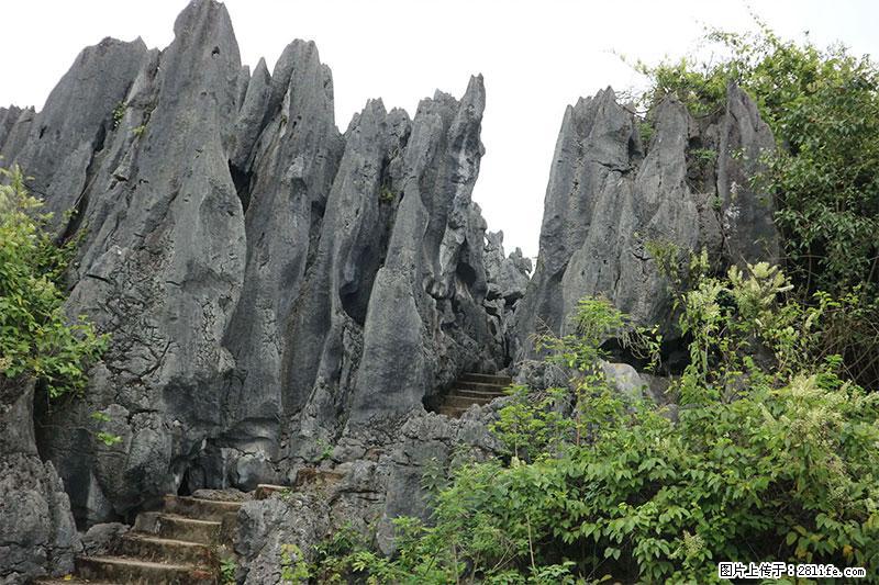 桂林旅游名城景点：灌阳文市石林 - 游山玩水 - 石家庄生活社区 - 石家庄28生活网 sjz.28life.net