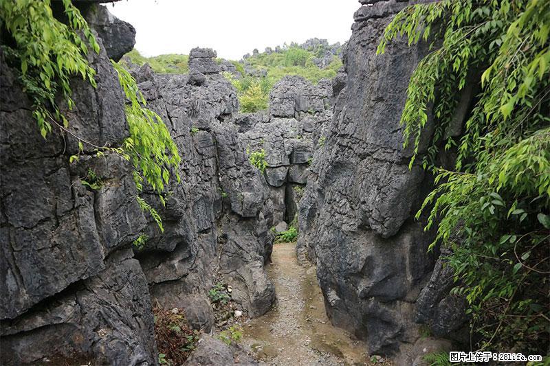 桂林旅游名城景点：灌阳文市石林 - 游山玩水 - 石家庄生活社区 - 石家庄28生活网 sjz.28life.net