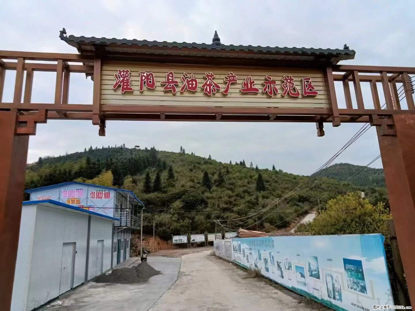 【灌阳县油茶产业示范区】一个有着充实的精神生活的人，对待身外之物自会有一种淡泊的态度 - 美食天地 - 石家庄生活社区 - 石家庄28生活网 sjz.28life.net