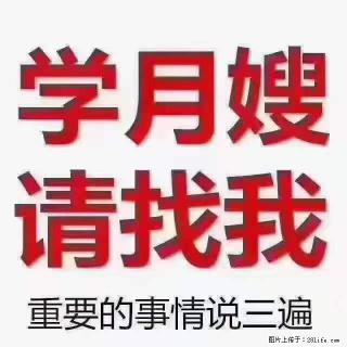 为什么要学习月嫂，育婴师？ - 石家庄28生活网 sjz.28life.net