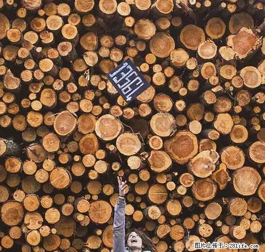 辞掉工作周游世界？现在他们在洗厕所…… - 游山玩水 - 石家庄生活社区 - 石家庄28生活网 sjz.28life.net