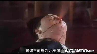 笑癫了！一女的怀孕三年未生，他终于忍不住了... - 娱乐八卦 - 石家庄生活社区 - 石家庄28生活网 sjz.28life.net