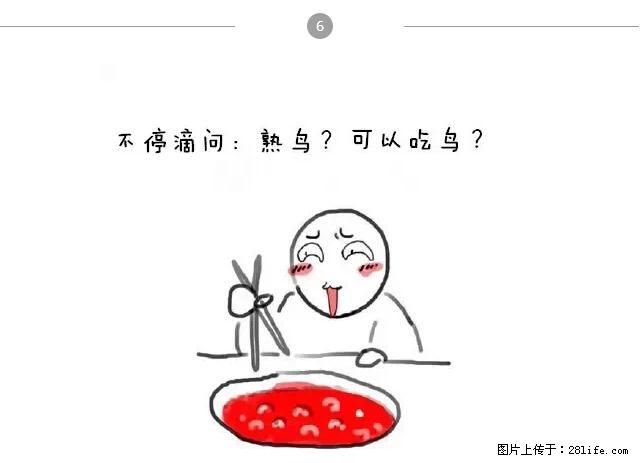 千万不要和这9种哈卵一起吃火锅！ - 美食天地 - 石家庄生活社区 - 石家庄28生活网 sjz.28life.net