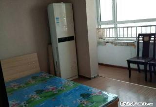 (单间出租)乐城苑单间出租，精装修家具齐全拎包入住随时看房。免中介费。 - 石家庄28生活网 sjz.28life.net