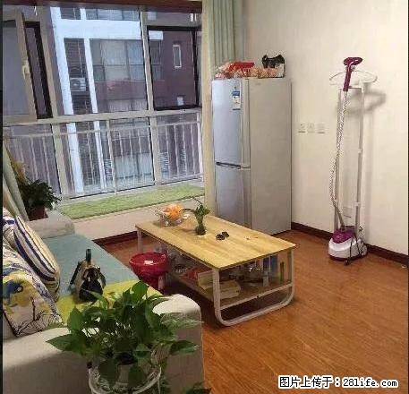 北宋新苑旁 星河盛世 精装一室 图片真实 随时看房 拎包入住 - 房屋出租 - 房屋租售 - 石家庄分类信息 - 石家庄28生活网 sjz.28life.net