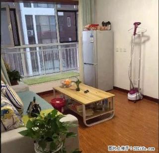 北宋新苑旁 星河盛世 精装一室 图片真实 随时看房 拎包入住 - 石家庄28生活网 sjz.28life.net