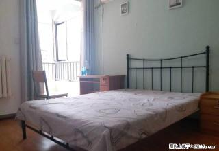 (单间出租)省四院旁 新源燕府 长安公园 附近精装主卧出租 - 石家庄28生活网 sjz.28life.net