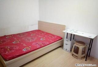(单间出租)免中介费 个人出租 北站 朝阳路 精装 拎包入住 - 石家庄28生活网 sjz.28life.net