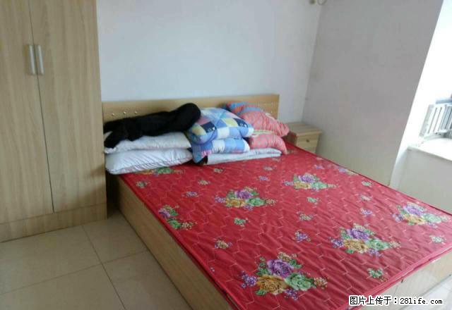 无中。介费 新百商圈 金亿城 太和颐高 地铁1号3号线 急租 - 房屋出租 - 房屋租售 - 石家庄分类信息 - 石家庄28生活网 sjz.28life.net