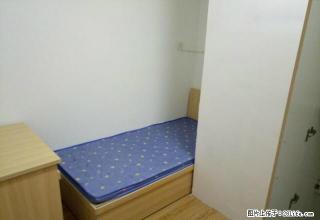 (单间出租)誉天下合租，单间260，拎包入住 - 石家庄28生活网 sjz.28life.net