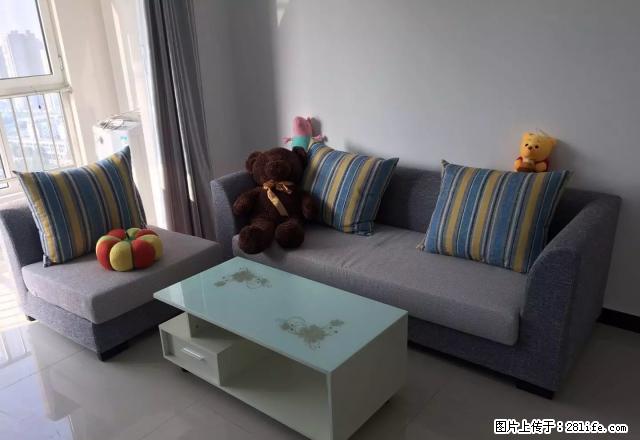 海世界 地铁口 精装婚房 无中介啡 好房不等人 - 房屋出租 - 房屋租售 - 石家庄分类信息 - 石家庄28生活网 sjz.28life.net