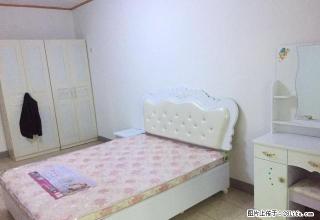 (单间出租)博物馆 世纪方舟 广安大厦 中卧700 拎包入住 无中介费 - 石家庄28生活网 sjz.28life.net