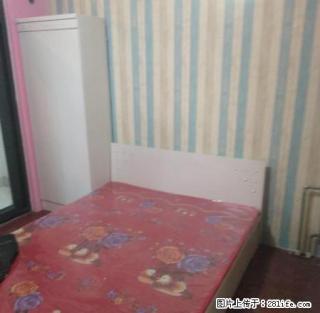 (单间出租)个人直租 中山华府 北国勒泰附近 拎包入住 真实图片 - 石家庄28生活网 sjz.28life.net