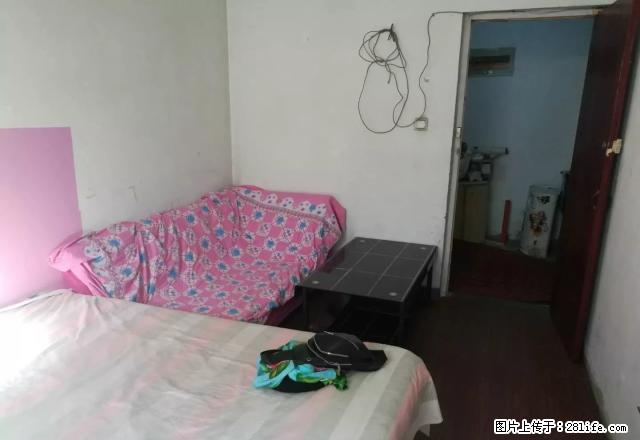 (单间出租)（单间出租）丰河苑东区人民学府 5室 中等装修 免中介费 - 房屋出租 - 房屋租售 - 石家庄分类信息 - 石家庄28生活网 sjz.28life.net