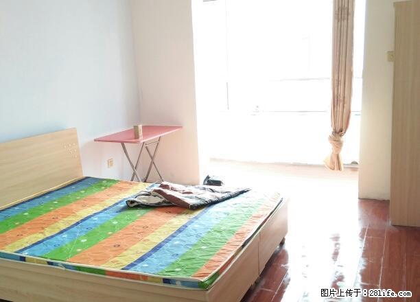 (单间出租)中储广场 信誉楼 华林国际 独卫大主卧带阳台无中介费 - 房屋出租 - 房屋租售 - 石家庄分类信息 - 石家庄28生活网 sjz.28life.net
