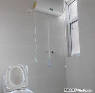 (单间出租)居然丽家恒丰大酒店附近长租免取暖免物业免网费有全自动洗衣机 - 石家庄28生活网 sjz.28life.net