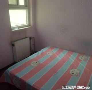 (单间出租)个人急租温馨次卧精装修，免物业费免上网费，紧挨运河桥 - 石家庄28生活网 sjz.28life.net