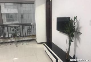 联邦名都+万象对面 精装一室 东西齐全 我有钥匙 随时看房 - 石家庄28生活网 sjz.28life.net