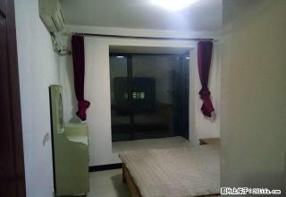 (单间出租)师范大学 塔冢小区 无中介费 精装主卧次卧 月付 家电齐全 - 石家庄28生活网 sjz.28life.net