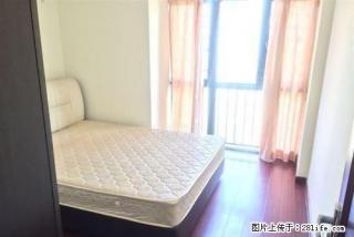 新上！塔冢裕园精装两室 紧邻富强南二环师大旁 随时看房 - 石家庄28生活网 sjz.28life.net