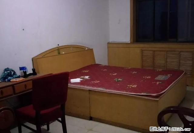 转盘附近新华书店家属院、四室两厅一卫、简单装修、有简单家具 - 房屋出租 - 房屋租售 - 石家庄分类信息 - 石家庄28生活网 sjz.28life.net