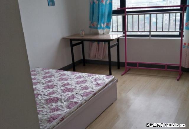 甩租 两室一厅一卫个人的市中心繁华地段 1650实图照片 - 房屋出租 - 房屋租售 - 石家庄分类信息 - 石家庄28生活网 sjz.28life.net