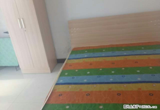 (单间出租)胸科医院附近 义堂国瑞园急租主卧650包物业网费 无中介 - 房屋出租 - 房屋租售 - 石家庄分类信息 - 石家庄28生活网 sjz.28life.net