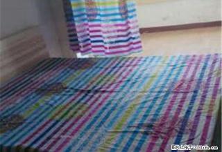 (单间出租)个人出租押一付一朝南带阳台有空调有暖气男女不限 - 石家庄28生活网 sjz.28life.net