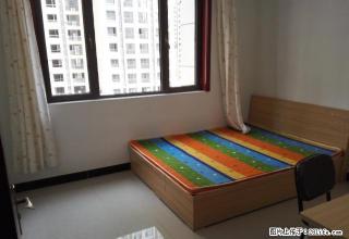 (单间出租)元旦特价房《500全包》押一付一奥北公元 《无忠介费》限三天 - 石家庄28生活网 sjz.28life.net