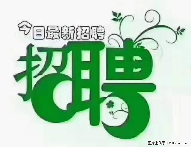 【招聘摄像师】待遇：试用期6000元/月，转正7000元/月+五险一金+餐补+节日福利+奖金 - 职场交流 - 石家庄生活社区 - 石家庄28生活网 sjz.28life.net