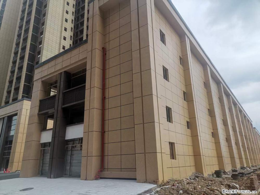 【广西三象建筑安装工程有限公司】外墙涂料工程 - 新手上路 - 石家庄生活社区 - 石家庄28生活网 sjz.28life.net