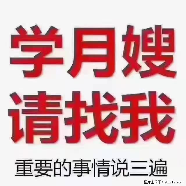 【招聘】月嫂，上海徐汇区 - 职场交流 - 石家庄生活社区 - 石家庄28生活网 sjz.28life.net