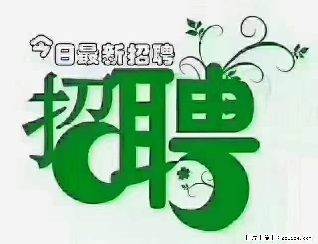 急聘！急聘！上海酒店长期前台，做六休一，每天8小时，6000块钱一月 - 职场交流 - 石家庄生活社区 - 石家庄28生活网 sjz.28life.net
