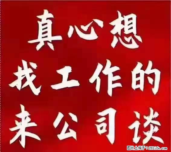 【上海】国企，医院招两名男保安，55岁以下，身高1.7米以上，无犯罪记录不良嗜好 - 职场交流 - 石家庄生活社区 - 石家庄28生活网 sjz.28life.net