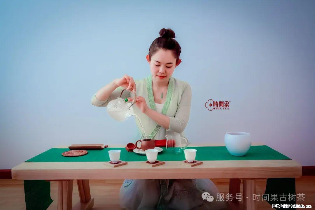 时间果百年古树龙珠普洱生茶 - 购物交流 - 石家庄生活社区 - 石家庄28生活网 sjz.28life.net