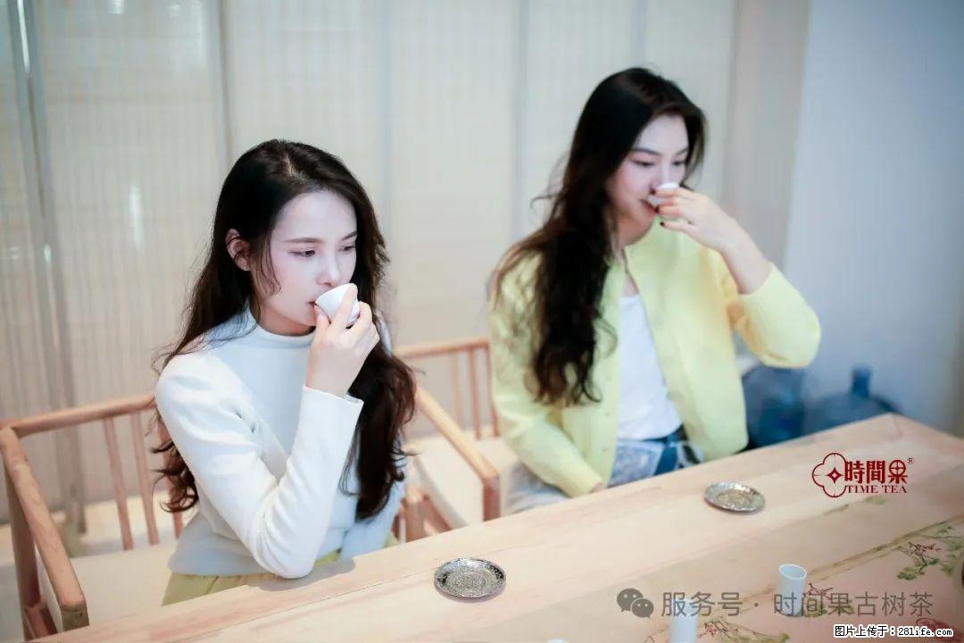 时间果百年古树龙珠普洱生茶 - 购物交流 - 石家庄生活社区 - 石家庄28生活网 sjz.28life.net
