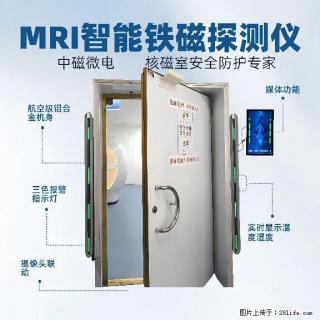 中磁微电核磁室智能铁磁探测器双立柱式金属探测系统主副柱可互换 - 石家庄28生活网 sjz.28life.net