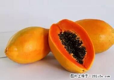 晕车、脚气、牙齿变黄、皮肤粗糙？学会这些三分钟搞定！ - 石家庄生活资讯 - 石家庄28生活网 sjz.28life.net